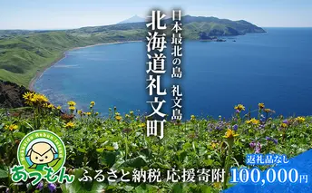 北海道礼文町 寄附のみの応援受付 100,000円コース（返礼品なし 寄附のみ 100000円）