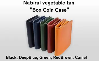 Box Coin Case Black