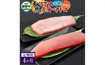 ～四国一小さなまち～ 天然マグロ（赤身・中トロ 各500g）4ヶ月定期便 まぐろ 鮪 中とろ 刺身 刺し身 さしみ 魚 魚介 海鮮 海鮮丼 寿司 海の幸 おかず おつまみ 惣菜 おいしい