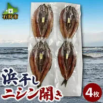 160028002 北海道産 浜干しニシン開き（4枚）約1.2kg