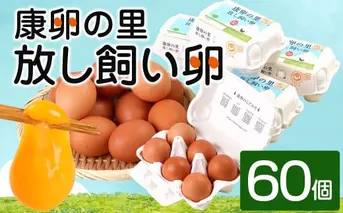 卵 鶏卵 康卵の里「放し飼い卵」 卵60個 宮崎県えびの市産 九州産 国産 玉子 タマゴ 卵 生卵 鶏卵 たまご 平飼い 放し飼い 玉子焼き 卵焼き ゆで卵 ゆでたまご エッグ TKG 卵かけご飯 たまごかけごはん つまめる 破損保証5個含む 送料無料