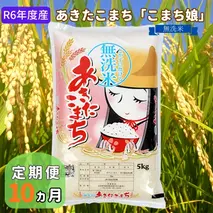 米 定期便 R6年度産  『こまち娘』 あきたこまち 無洗米 5kg 10ヶ月連続発送（合計50kg）吉運商店 秋田県 男鹿市 お米 お弁当 おにぎり