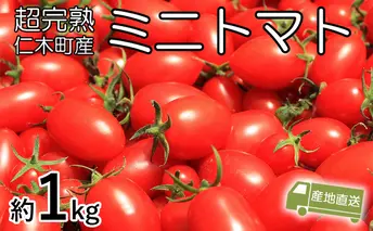 超完熟ミニトマト【アイコ】1kg 北海道 仁木町［アイコファーム］【 トマト ミニトマト アイコ 野菜 】