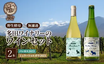 ワイン 【野生酵母】フルーティな白ワイン2本セット●上富良野の多田ワイナリー 白ワイン セット 酒 お酒 アルコール