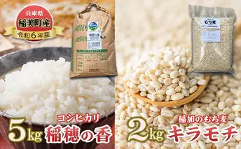 コシヒカリ 『稲穂の香』 5kg と稲加のもち麦『キラモチ』2kg 米 もちむぎ 兵庫県 稲美町産