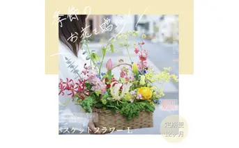 《12ヵ月定期便》季節の生花バスケットフラワーL バスケット 紙バンドバスケット フラワーバスケット 季節 手作り ハンドメイド ブルースター トルコギキョウ お取り寄せ 生花 プレゼント 贈り物
