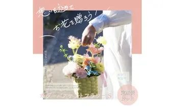 《12ヵ月定期便》季節の生花カラーバスケットフラワーS カラーバスケット 紙バンドバスケット フラワーバスケット 季節 手作り ブルースター トルコギキョウ お取り寄せ 生花 プレゼント 贈り物