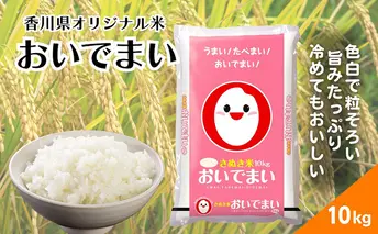 【令和6年産】香川県産 おいでまい 10kg 1袋　米 お米 精米  おいで米 粘り 旨み