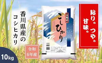 【令和6年産】香川県産 コシヒカリ 10kg 1袋　米 お米 精米 こしひかり 粘り つや 甘味