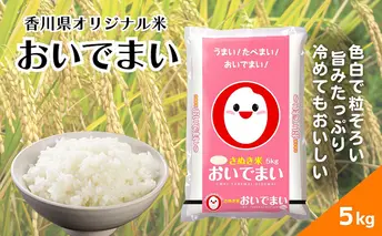 【令和6年産】香川県産 おいでまい 5kg 1袋　米 お米 精米  おいで米 粘り 旨み