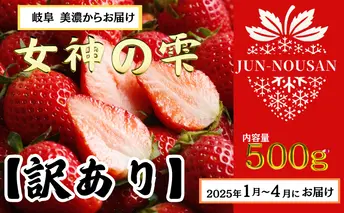 【訳あり】いちご/2025年1月から3月/250g×2パック/岐阜県美濃市産/