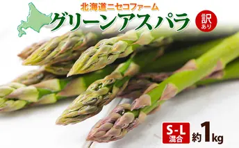 北海道産 グリーン アスパラガス 約1kg S - L サイズ混合 アスパラガス アスパラ 旬 朝採り 新鮮 お取り寄せ 産地直送 産直 野菜 農作物 詰め合わせ 国産 しりべしや ニセコファーム 北海道