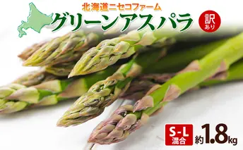 北海道産 グリーン アスパラガス 約1.8kg S - L サイズ混合 アスパラガス アスパラ 旬 朝採り 新鮮 お取り寄せ 産地直送 産直 野菜 農作物 詰め合わせ 国産 しりべしや ニセコファーム 北海道