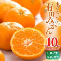 MK1005_【2025年先行予約】みかん Ｌサイズ 秀品 箱込 10kg ( 内容量 9.2kg ) 有田みかん 和歌山県産 産地直送 贈答用 【みかんの会】