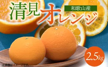 G7328_【2026年先行予約】とにかくジューシー 清見 オレンジ 2.5kg