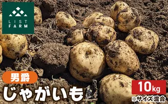 北海道 倶知安 じゃがいも 男爵 10kg リストファーム サイズ 混合 馬鈴薯 芋 ポテト イモ 産地直送 野菜