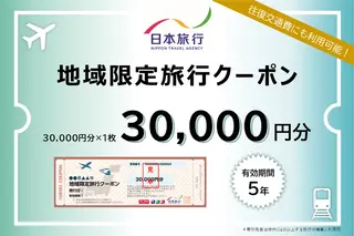 秋田県男鹿市　日本旅行　地域限定旅行クーポン30,000円分 チケット 