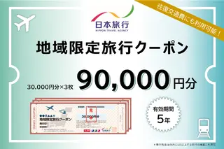 秋田県男鹿市　日本旅行　地域限定旅行クーポン90,000円分 チケット 