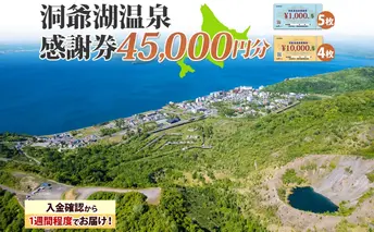 洞爺湖温泉感謝券 45000円 分 金券 クーポン 洞爺湖 湖 温泉 リゾート 有珠山 火山 自然 花火 イルミネーション 旅行 観光 宿泊 施設 北海道