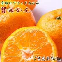 ZD92061_【2025年先行予約】【家庭用】有田ブランド 賢みかん 約5kg（S～Lサイズおまかせ）
