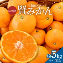 ZD92065_【2025年先行予約】【家庭用】有田ブランド 賢みかん 約5kg（サイズ混合）
