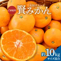 ZD92066_【2025年先行予約】【家庭用】有田ブランド 賢みかん 約10kg（サイズ混合）