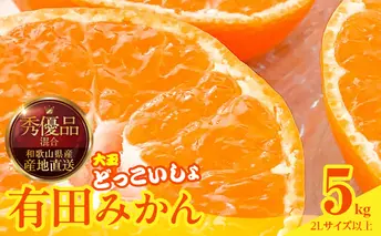 MK1033_【2025年先行予約】みかん 大玉 どっこいしょ 箱込 5kg ( 内容量 4.4kg ) 2Lサイズ以上 秀品 優品 混合 有田みかん 和歌山県産 産地直送 【みかんの会】