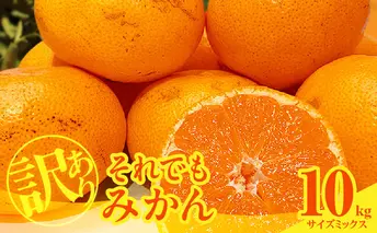 MK1036_【2025年先行予約】訳あり それでも みかん 箱込 10kg ( 内容量 9.2kg ) サイズミックス Ｂ品 有田みかん 和歌山県産 産地直送 家庭用【みかんの会】
