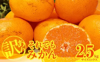 MK1048_【2025年先行予約】訳あり それでも みかん 箱込 2.5kg ( 内容量 2.3kg ) サイズミックス Ｂ品 有田みかん 和歌山県産 産地直送 家庭用【みかんの会】