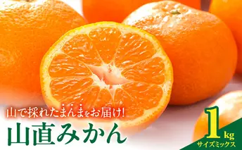MK1050_【2025年先行予約】みかん 山から直送 箱込 1kg ( 内容量 0.9kg ) 鮮度優先ごろごろ規格 和歌山県産 産地直送 【みかんの会】