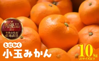 MK1041_【2025年先行予約】みかん とにかく 小玉 箱込 10kg ( 内容量 9.2kg ) 2Sサイズ以下 秀品 優品 混合 有田みかん 和歌山県産 産地直送 【みかんの会】