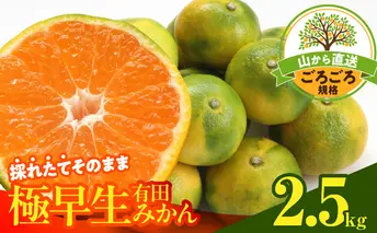 MK1081_【2025年先行予約】みかん 極早生 山から直送 箱込 2.5kg ( 内容量 2.3kg ) 採れたてそのままごろごろ規格 有田みかん 和歌山県産