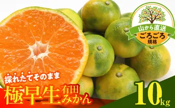 MK1078_【2025年先行予約】みかん 極早生 山から直送 箱込 10kg ( 内容量 9.2kg ) 採れたてそのままごろごろ規格 有田みかん 和歌山県産