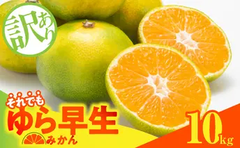 MK1066_【2025年先行予約】訳あり ゆら早生 みかん 箱込 10kg ( 内容量 9.2kg ) サイズミックス 有田みかん 和歌山県産