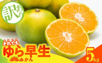 MK1068_【2025年先行予約】訳あり ゆら早生 みかん 箱込 5kg ( 内容量 4.4kg ) サイズミックス 有田みかん 和歌山県産