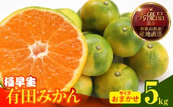 MK1072_【2025年先行予約】みかん 極早生 箱込 5kg ( 内容量4.4kg ) おまかせサイズ（S/M/L）秀品・優品 の混合 有田みかん 和歌山県産