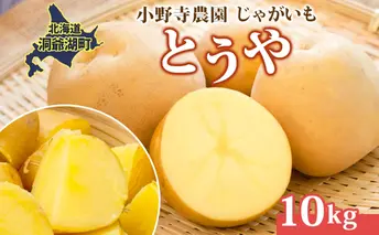 じゃがいも とうや 10kg 10月初旬～12月中旬ごろお届け ホクホク 甘い ポテトサラダ コロッケ 産地直送 お取り寄せ 国産 小野寺農園 北海道 洞爺湖町