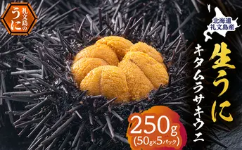 北海道 礼文島産 採れたて キタムラサキウニ 塩水パック 50g×5 生うに 生ウニ 塩水うに 魚貝類 雲丹