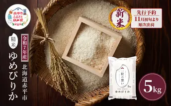 【先行予約】令和7年産 北海道 赤平産 ゆめぴりか 5kg 白米 精米 米 北海道 ごはん ご飯 ライス おにぎり