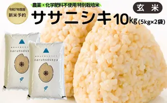新米予約 栽培期間中 農薬・化学肥料不使用【玄米】特別栽培米ササニシキ10kg （5kg×2） 令和7年産 秋田県 にかほ市 お米 米 こめ