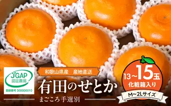 ZE6497_【2026年先行予約】【まごころ手選別】　せとか　化粧箱入り　(13～15玉)