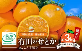 ZE6498_【2026年先行予約】【まごころ手選別】　せとか　約3kg　家庭用