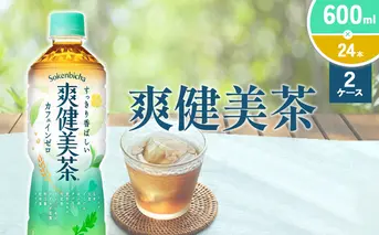 爽健美茶 600ml PET【コカ・コーラ】ペットボトル 2ケース(48本) 定期便 セット お茶 カフェインゼロ ノンカフェイン ハトムギ ブレンド茶 宮崎県 えびの市 送料無料