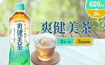 （2回定期便）爽健美茶 600ml PET【コカ・コーラ】ペットボトル 2ケース(48本) 定期便 2回(96本) セット お茶 カフェインゼロ ノンカフェイン ハトムギ ブレンド茶 宮崎県 えびの市 送料無料