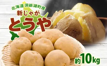 北海道 洞爺湖町産 新じゃがいも とうや 約10kg  Mサイズ以上混載 北海道産 新じゃが じゃがいも いも ジャガイモ 馬鈴薯 黄爵 芋 旬 野菜 農作物 送料無料 産地直送 常温 洞爺湖町