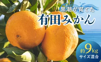 AE6110_【2025年先行予約】黒潮が育てた 有田みかん 約9kg (サイズ混合)