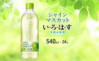 水 いろはす シャインマスカット 天然水 540ml(500ml + 40ml)PET【コカ・コーラ】ペットボトル 1箱(24本)ブドウ ナチュラルミネラルウォーター フレーバードリンク カロリー控えめ 飲料水 飲料 常温 備蓄 ストック ローリングストック アウトドア キャンプ 人気 おすすめ ギフト 国産 九州 宮崎県 えびの市 送料無料