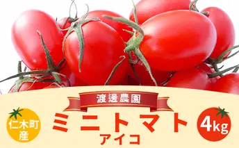 北海道仁木町産ミニトマト【アイコ】1kg×4箱