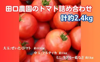 田口農園のトマト詰め合わせ（計約2.4kg）