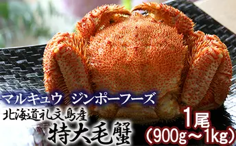 北海道礼文島産  急速冷凍特大毛蟹（900g～1kg）1尾 毛カニ かに カニ 